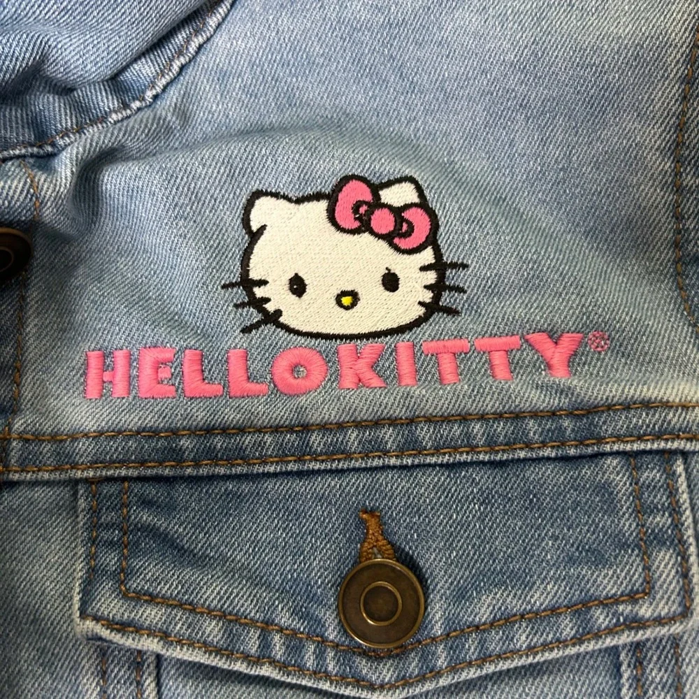 HELLO KITTY AND FRIENDS adorable girls
